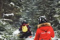 Выходные в Карелии - хаски и снегоходы